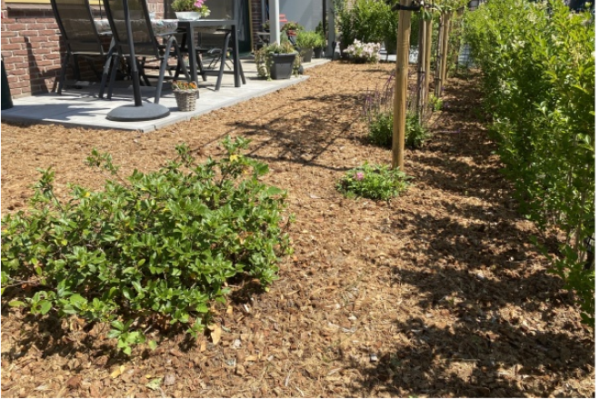 Additional-Coir-Products