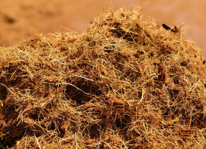 Cocopeat-washed-or-Buffered