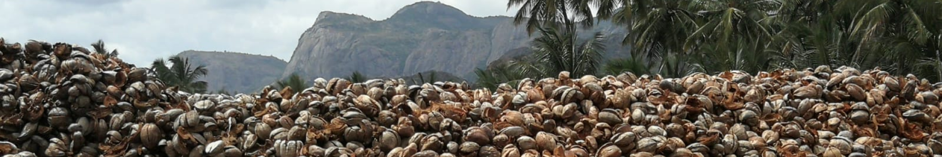 Elfferich-Product-Range